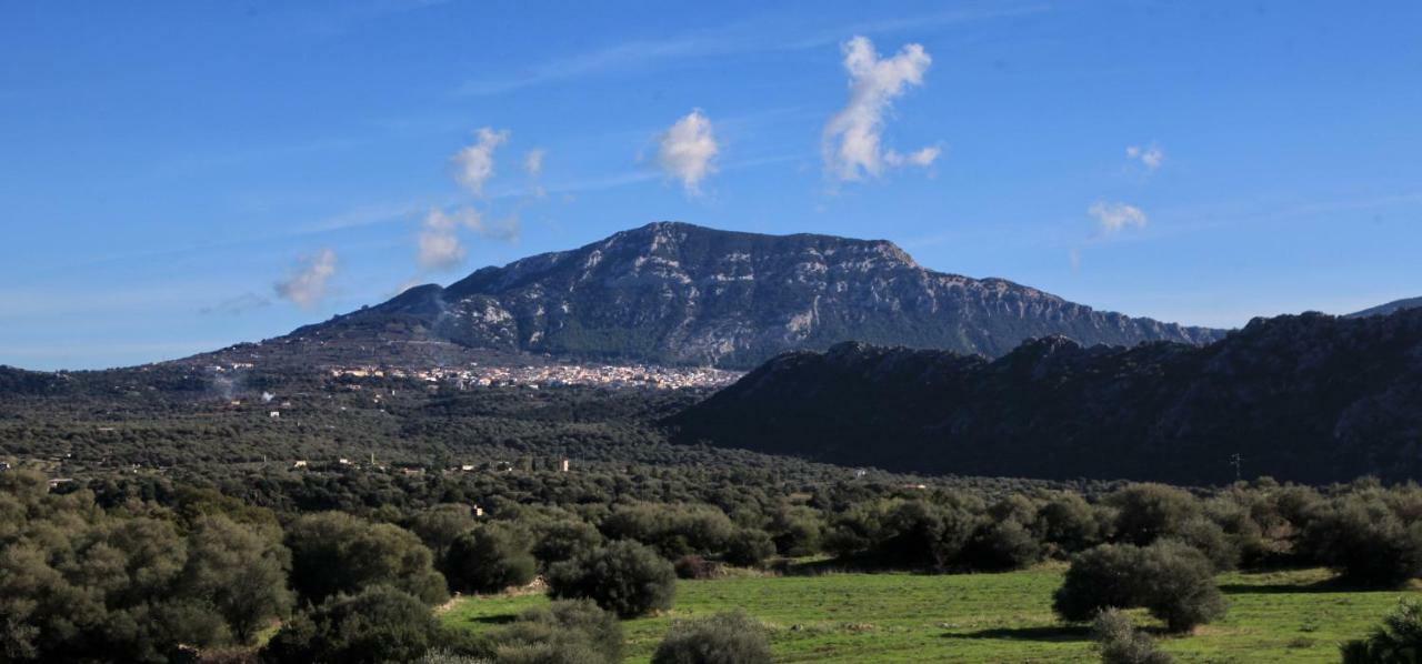 S'Ulumu Pensionat Dorgali Exteriör bild